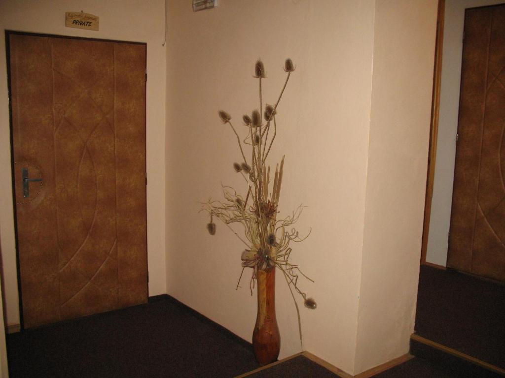 Kajovska Hospoda Exterior photo